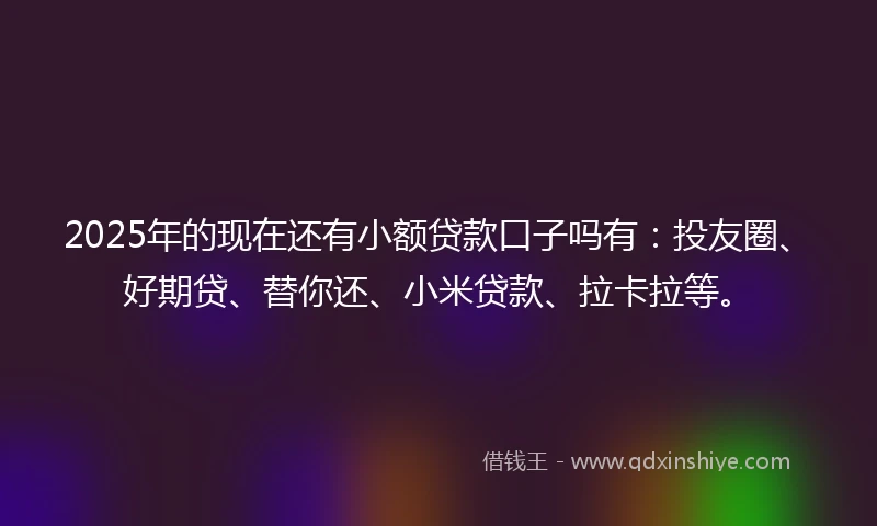 2025年的现在还有小额贷款口子吗有：投友圈、好期贷、替你还、小米贷款、拉卡拉等。