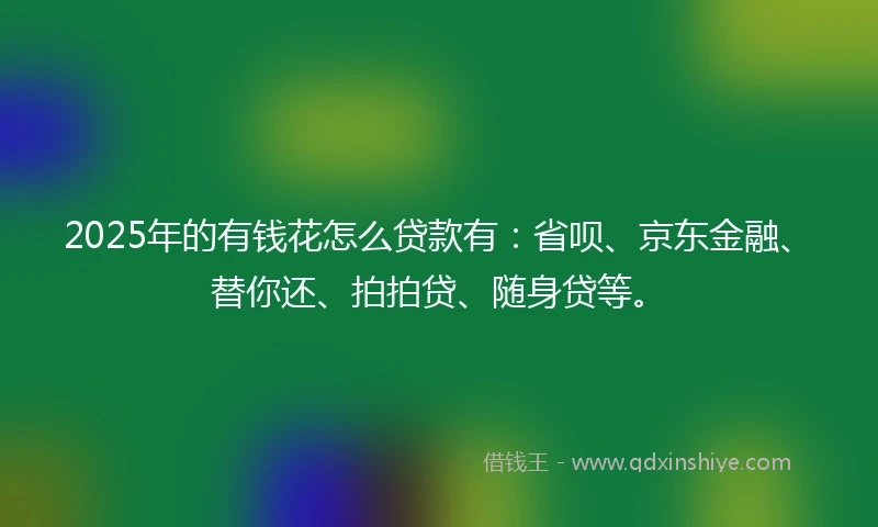 2025年的有钱花怎么贷款有：省呗、京东金融、替你还、拍拍贷、随身贷等。