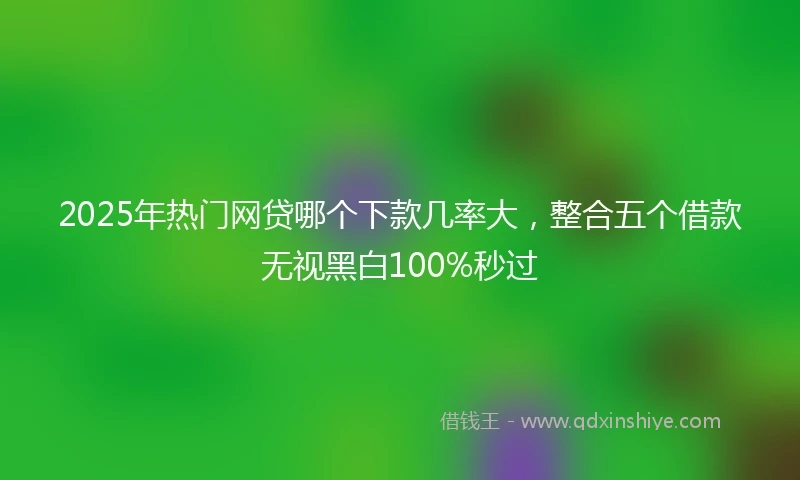 2025年热门网贷哪个下款几率大，整合五个借款无视黑白100%秒过