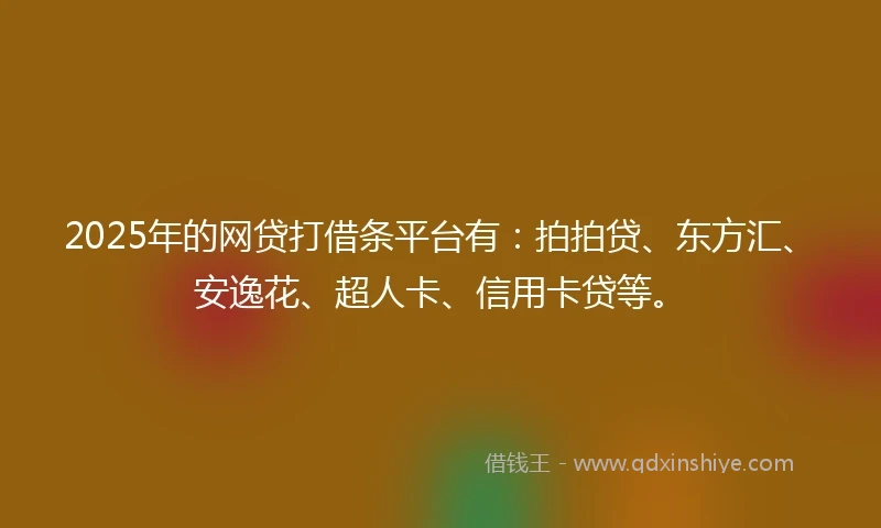 2025年的网贷打借条平台有：拍拍贷、东方汇、安逸花、超人卡、信用卡贷等。