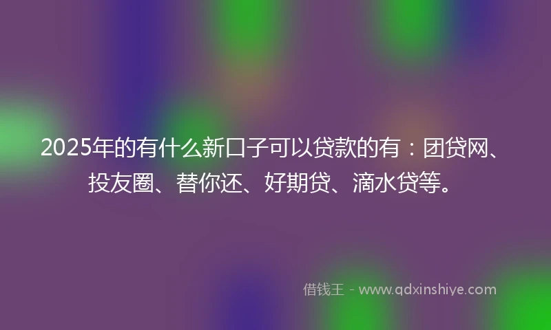 2025年的有什么新口子可以贷款的有：团贷网、投友圈、替你还、好期贷、滴水贷等。