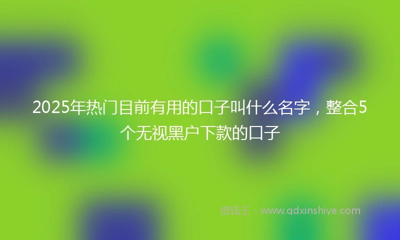 2025年热门目前有用的口子叫什么名字，整合5个无视黑户下款的口子