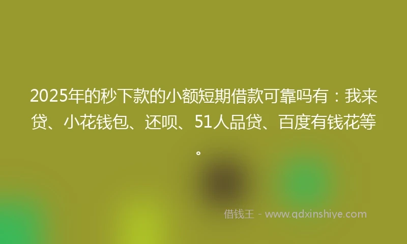 2025年的秒下款的小额短期借款可靠吗有：我来贷、小花钱包、还呗、51人品贷、百度有钱花等。