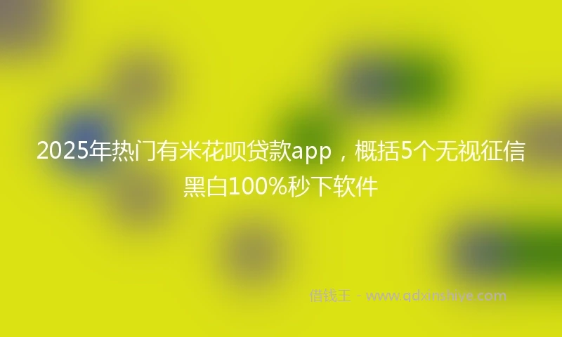 2025年热门有米花呗贷款app，概括5个无视征信黑白100%秒下软件
