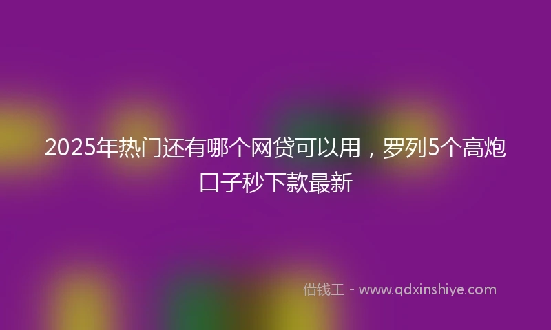 2025年热门还有哪个网贷可以用，罗列5个高炮口子秒下款最新