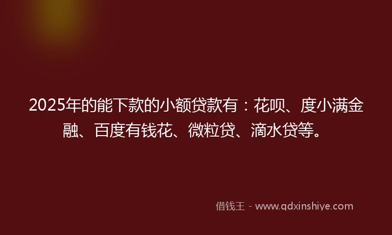 2025年的能下款的小额贷款有：花呗、度小满金融、百度有钱花、微粒贷、滴水贷等。