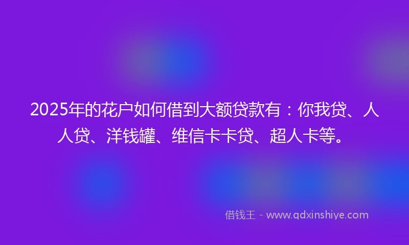 2025年的花户如何借到大额贷款有：你我贷、人人贷、洋钱罐、维信卡卡贷、超人卡等。