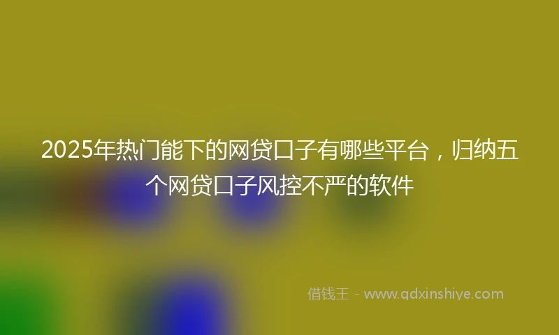 2025年热门能下的网贷口子有哪些平台，归纳五个网贷口子风控不严的软件