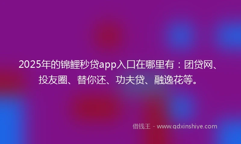 2025年的锦鲤秒贷app入口在哪里有：团贷网、投友圈、替你还、功夫贷、融逸花等。