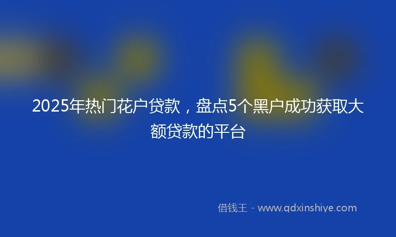 2025年热门花户贷款，盘点5个黑户成功获取大额贷款的平台