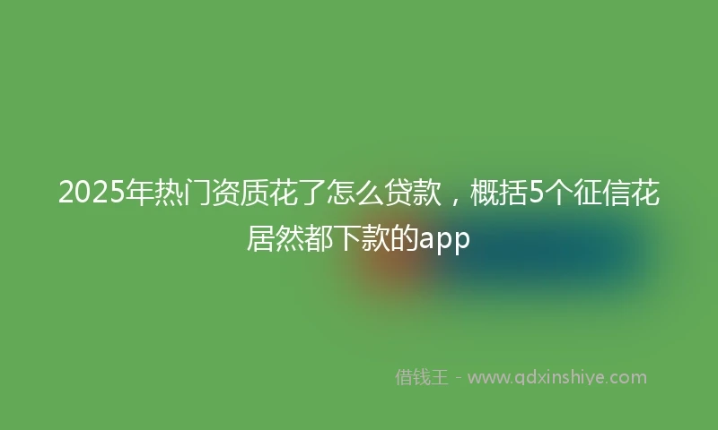 2025年热门资质花了怎么贷款，概括5个征信花居然都下款的app