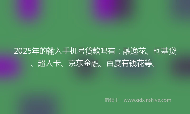 2025年的输入手机号贷款吗有：融逸花、柯基贷、超人卡、京东金融、百度有钱花等。