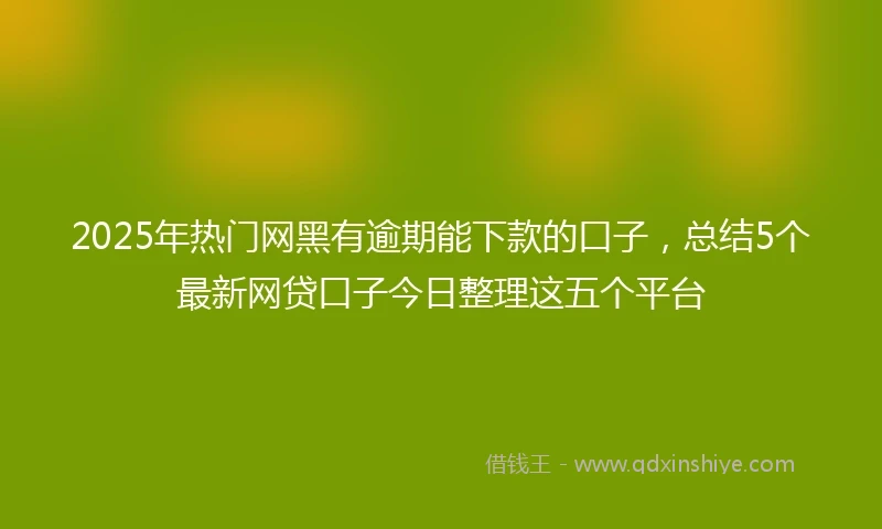2025年热门网黑有逾期能下款的口子，总结5个最新网贷口子今日整理这五个平台