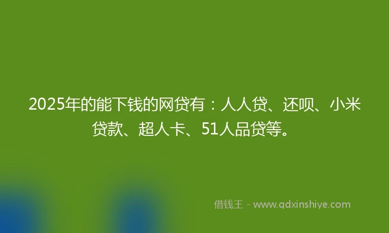 2025年的能下钱的网贷有：人人贷、还呗、小米贷款、超人卡、51人品贷等。
