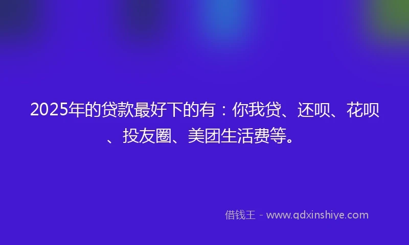 2025年的贷款最好下的有：你我贷、还呗、花呗、投友圈、美团生活费等。