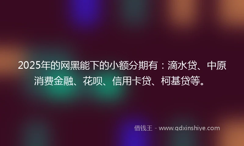 2025年的网黑能下的小额分期有：滴水贷、中原消费金融、花呗、信用卡贷、柯基贷等。