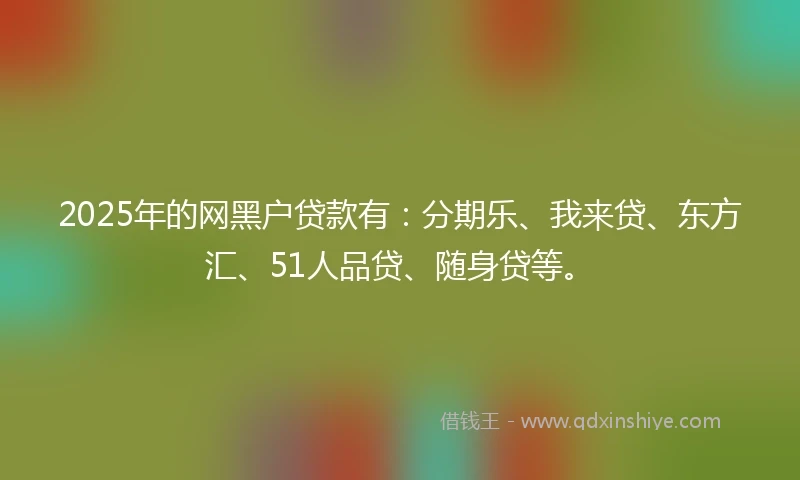 2025年的网黑户贷款有：分期乐、我来贷、东方汇、51人品贷、随身贷等。