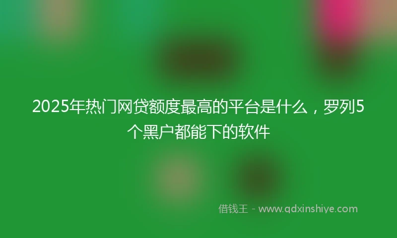 2025年热门网贷额度最高的平台是什么，罗列5个黑户都能下的软件