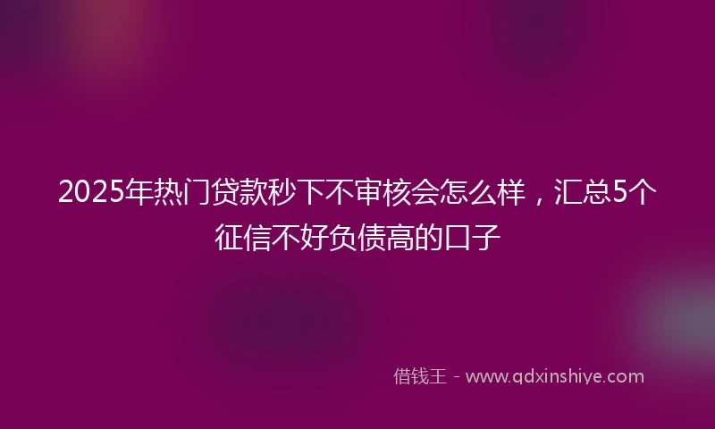 2025年热门贷款秒下不审核会怎么样，汇总5个征信不好负债高的口子