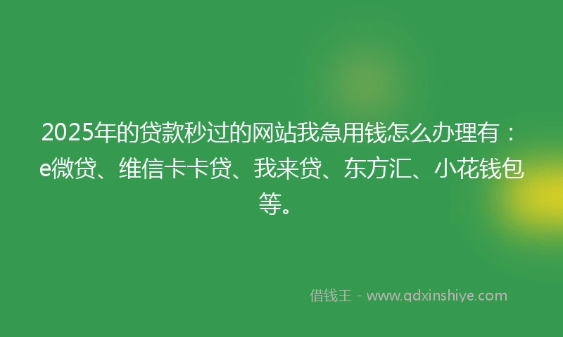 2025年的贷款秒过的网站我急用钱怎么办理有：e微贷、维信卡卡贷、我来贷、东方汇、小花钱包等。