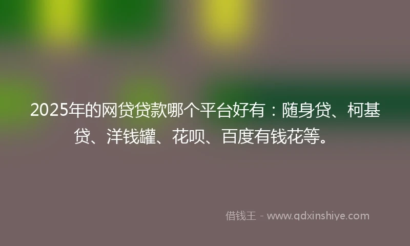 2025年的网贷贷款哪个平台好有：随身贷、柯基贷、洋钱罐、花呗、百度有钱花等。
