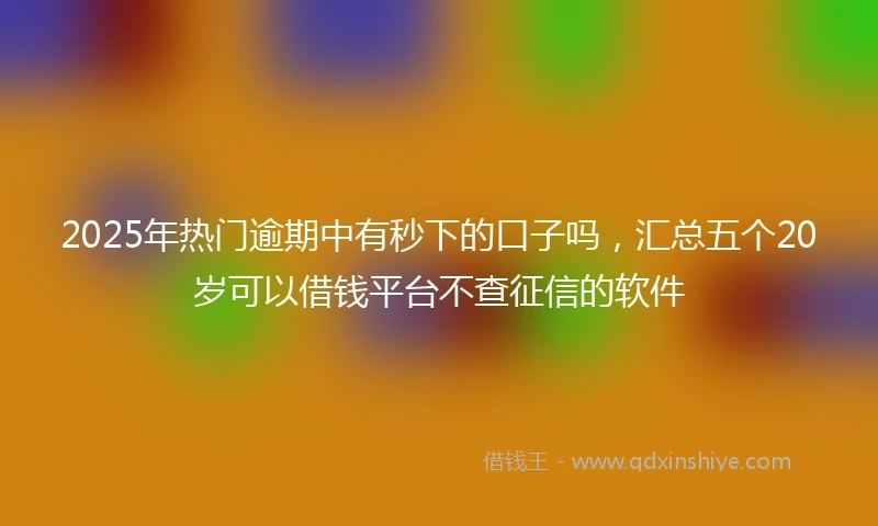 2025年热门逾期中有秒下的口子吗，汇总五个20岁可以借钱平台不查征信的软件