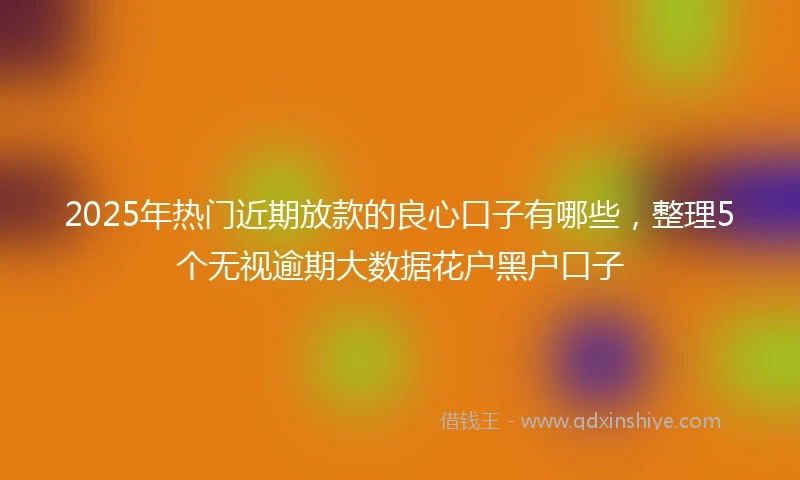 2025年热门近期放款的良心口子有哪些，整理5个无视逾期大数据花户黑户口子