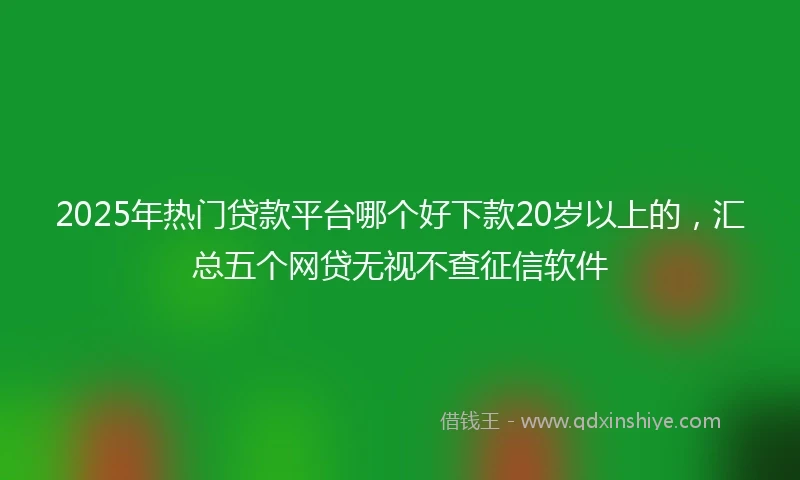 2025年热门贷款平台哪个好下款20岁以上的，汇总五个网贷无视不查征信软件