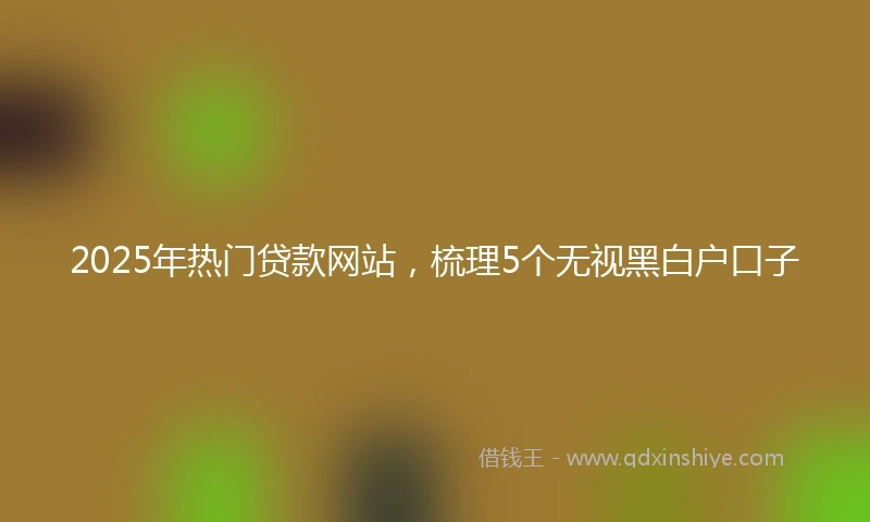 2025年热门贷款网站，梳理5个无视黑白户口子