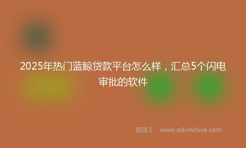 2025年热门蓝鲸贷款平台怎么样，汇总5个闪电审批的软件