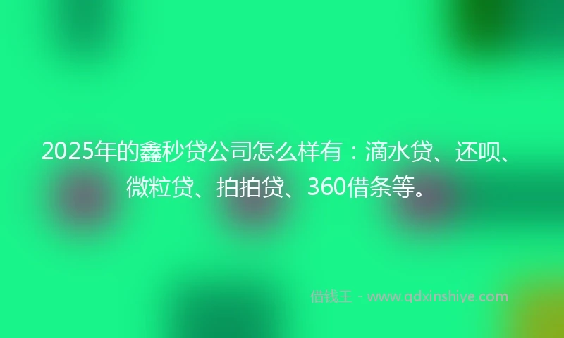 2025年的鑫秒贷公司怎么样有：滴水贷、还呗、微粒贷、拍拍贷、360借条等。