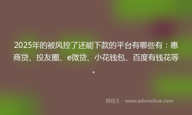 2025年的被风控了还能下款的平台有哪些有：惠商贷、投友圈、e微贷、小花钱包、百度有钱花等。
