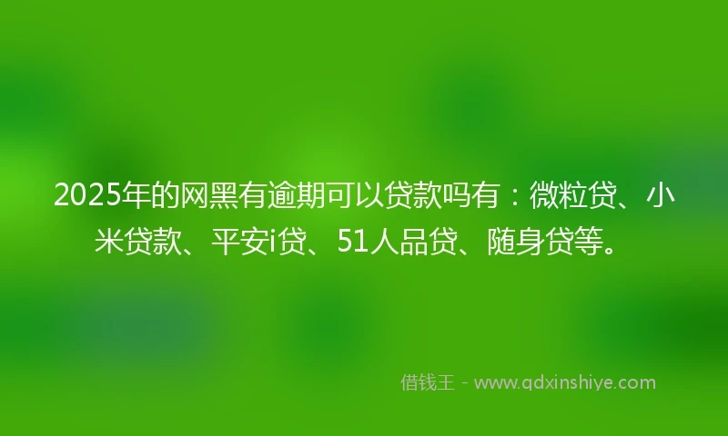 2025年的网黑有逾期可以贷款吗有：微粒贷、小米贷款、平安i贷、51人品贷、随身贷等。