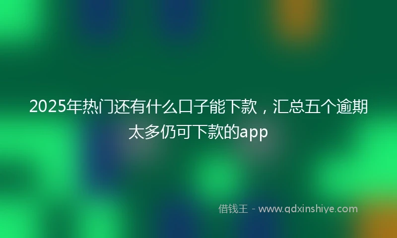 2025年热门还有什么口子能下款，汇总五个逾期太多仍可下款的app