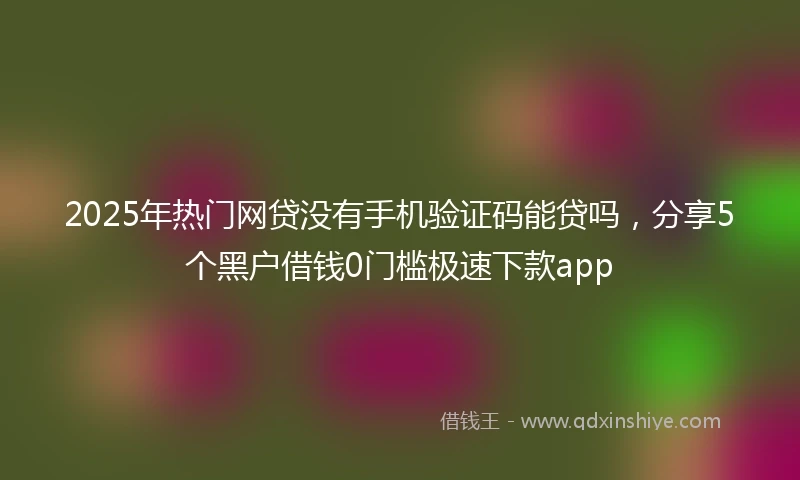 2025年热门网贷没有手机验证码能贷吗，分享5个黑户借钱0门槛极速下款app