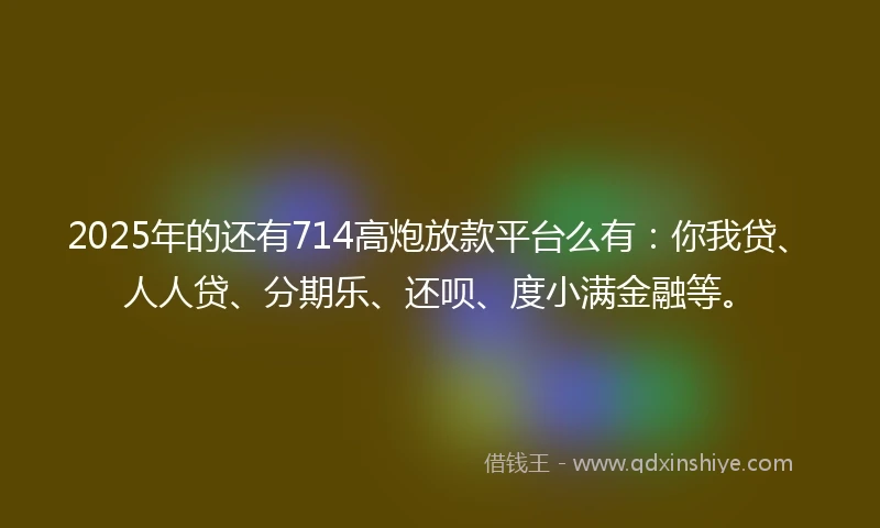 2025年的还有714高炮放款平台么有：你我贷、人人贷、分期乐、还呗、度小满金融等。