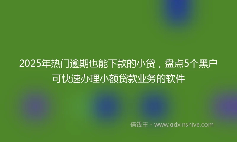 2025年热门逾期也能下款的小贷，盘点5个黑户可快速办理小额贷款业务的软件