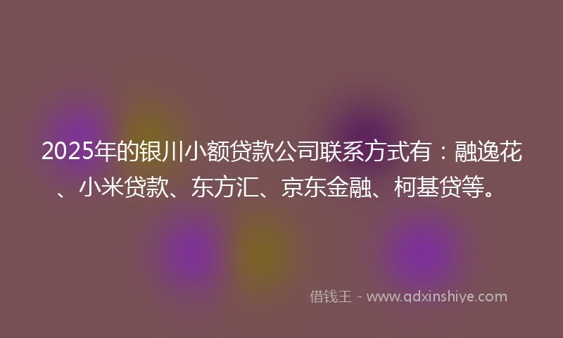 2025年的银川小额贷款公司联系方式有：融逸花、小米贷款、东方汇、京东金融、柯基贷等。