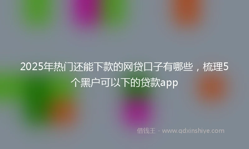 2025年热门还能下款的网贷口子有哪些，梳理5个黑户可以下的贷款app