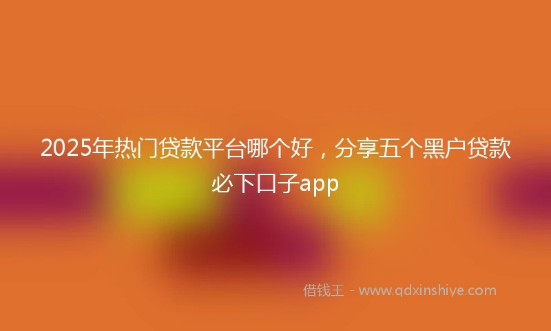 2025年热门贷款平台哪个好，分享五个黑户贷款必下口子app