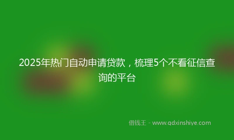 2025年热门自动申请贷款，梳理5个不看征信查询的平台