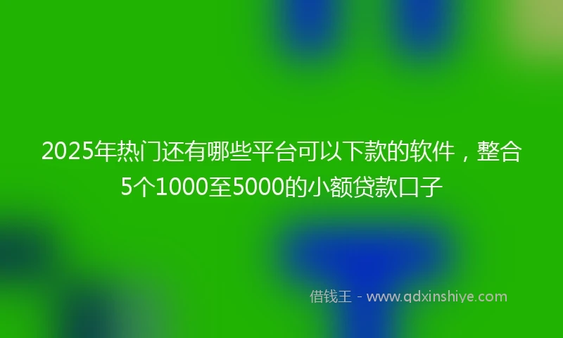 2025年热门还有哪些平台可以下款的软件，整合5个1000至5000的小额贷款口子