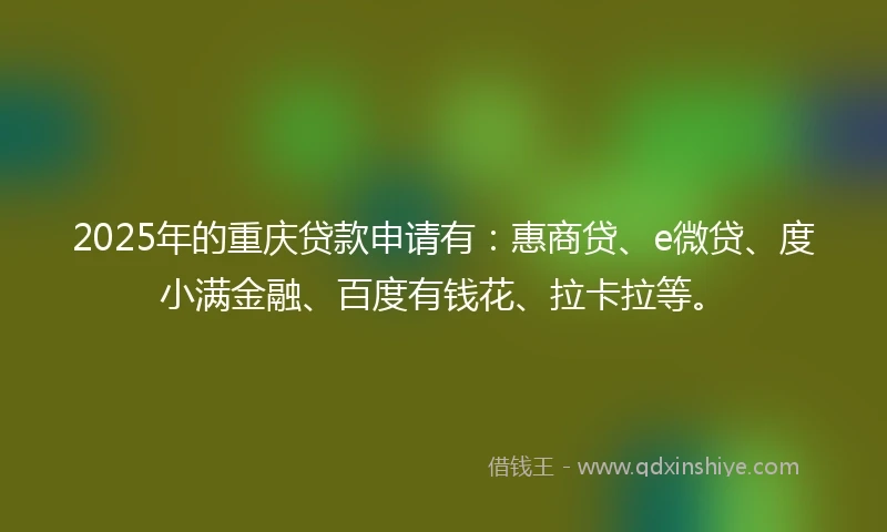 2025年的重庆贷款申请有：惠商贷、e微贷、度小满金融、百度有钱花、拉卡拉等。