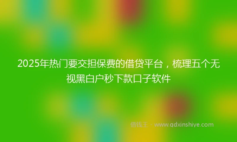 2025年热门要交担保费的借贷平台，梳理五个无视黑白户秒下款口子软件