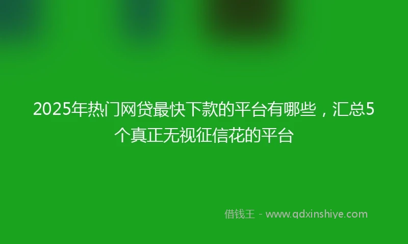 2025年热门网贷最快下款的平台有哪些，汇总5个真正无视征信花的平台