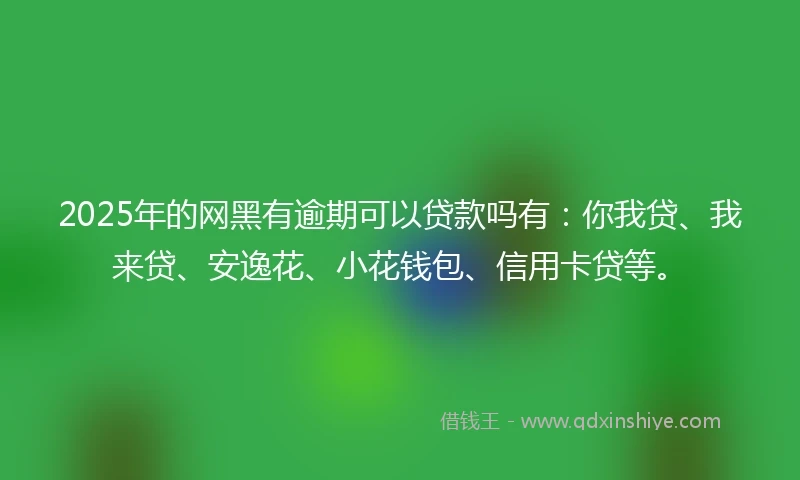 2025年的网黑有逾期可以贷款吗有：你我贷、我来贷、安逸花、小花钱包、信用卡贷等。