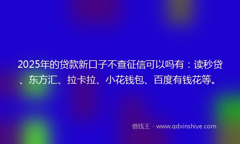 2025年的贷款新口子不查征信可以吗有：读秒贷、东方汇、拉卡拉、小花钱包、百度有钱花等。