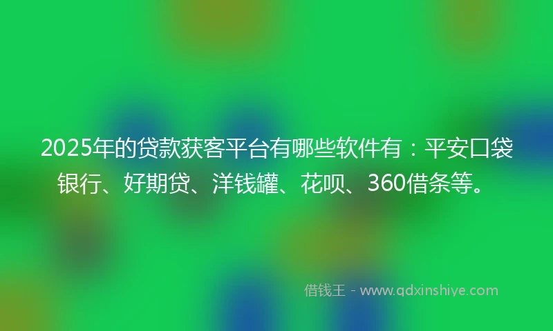 2025年的贷款获客平台有哪些软件有：平安口袋银行、好期贷、洋钱罐、花呗、360借条等。