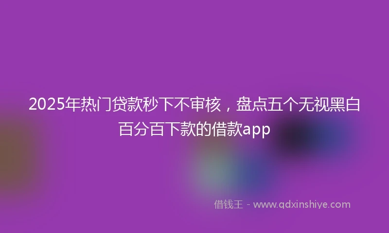 2025年热门贷款秒下不审核，盘点五个无视黑白百分百下款的借款app