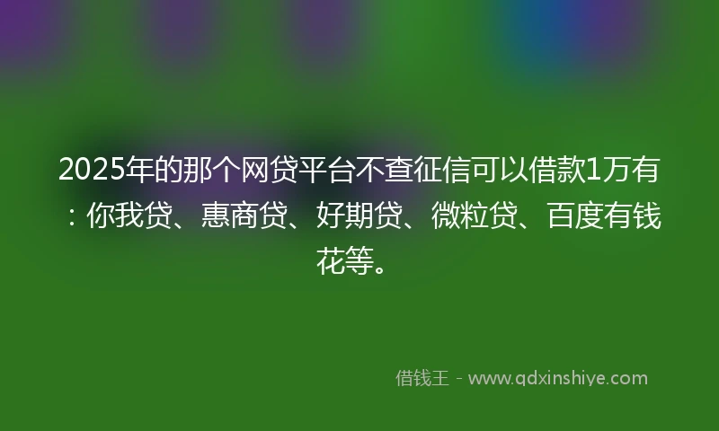 2025年的那个网贷平台不查征信可以借款1万有：你我贷、惠商贷、好期贷、微粒贷、百度有钱花等。